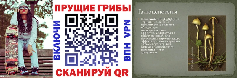 магазин    кракен зеркало  Псилоцибиновые грибы прущие грибы  Гороховец 